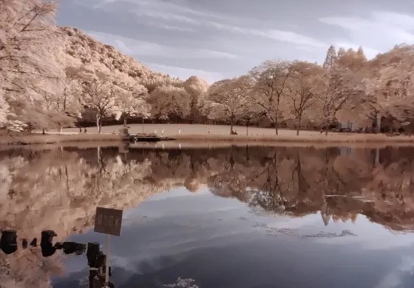一加手机回应滤镜透视问题 暂时禁用秋意滤镜