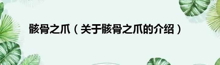 骸骨之爪（关于骸骨之爪的介绍）