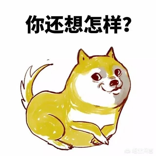 如何看待济南新发布的养狗通告？