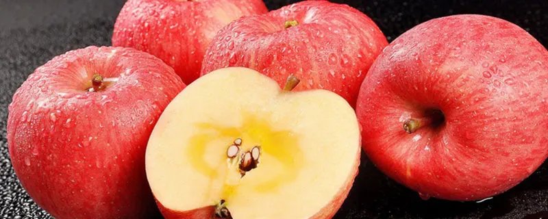 苹果属于什么性水果 苹果属于什么水果