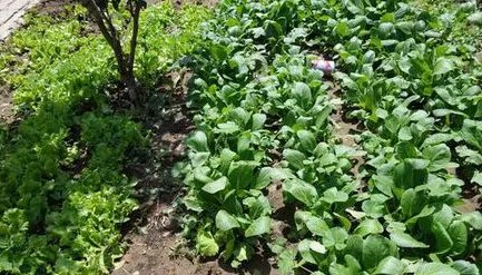 坝上草原的住宿条件怎么样?