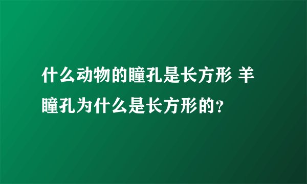 什么动物的瞳孔是长方形 羊瞳孔为什么是长方形的？