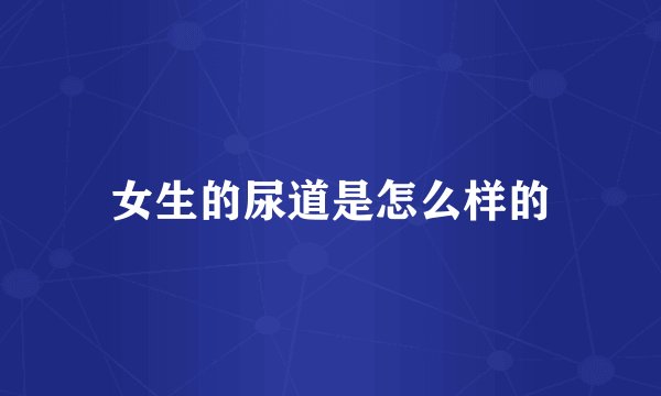 女生的尿道是怎么样的