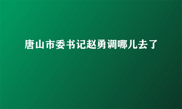 唐山市委书记赵勇调哪儿去了