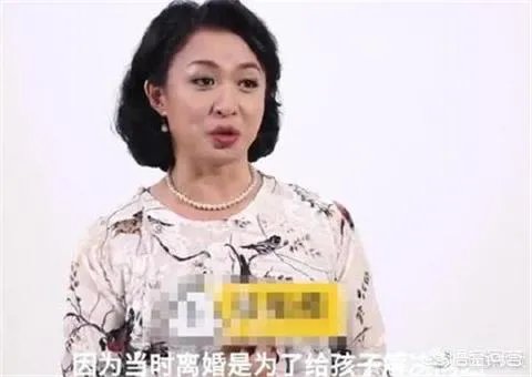 金星与老公汉斯复婚，你们怎么看？