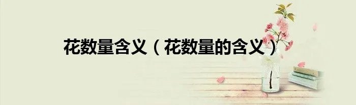 花数量含义（花数量的含义）