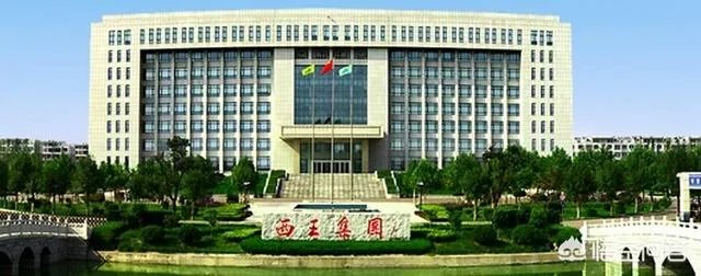 山东的西王村，到底有多富？