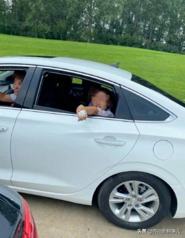 如何看待北京野生动物园游客强行拿走天鹅蛋的行为？