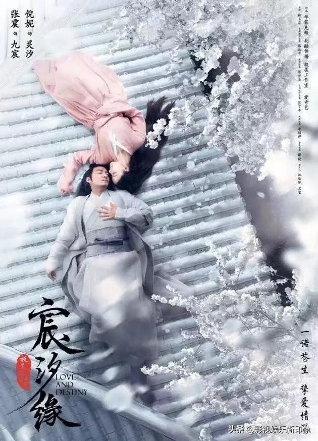 最新的电视剧有什么？