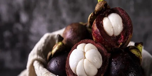 山竹名字的来历 山竹为什么叫山竹