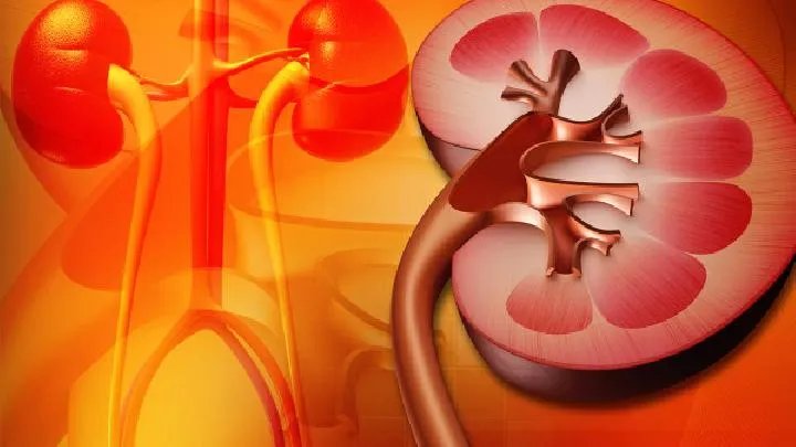 什么食物能补肾壮阳 补肾壮阳的常用方法都有哪些