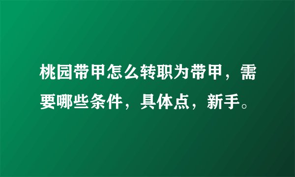 桃园带甲怎么转职为带甲，需要哪些条件，具体点，新手。