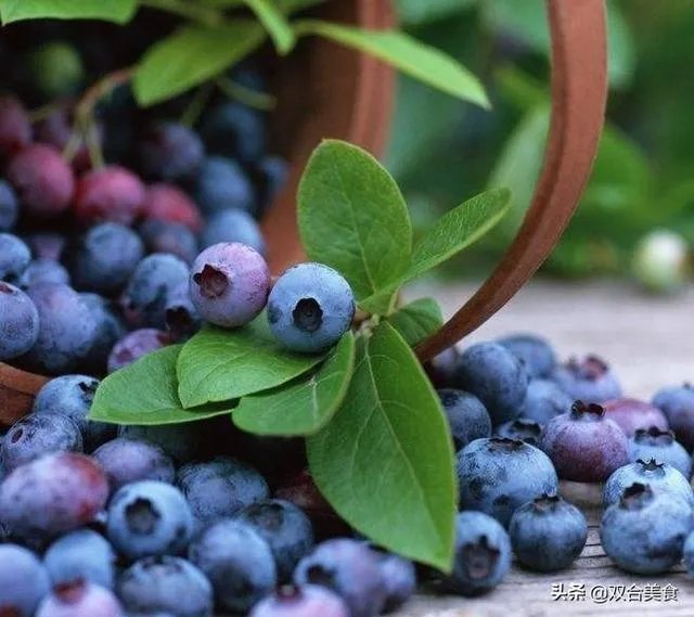 黑珍珠蓝莓好吃吗？