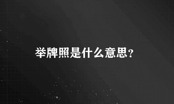 举牌照是什么意思？