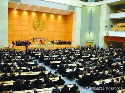 美国退出世卫组织有何后果？