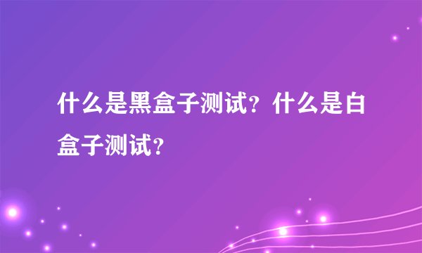 什么是黑盒子测试？什么是白盒子测试？