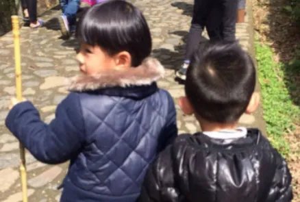 重庆女童家门口玩耍被野猴拖走，女孩是如何得救的？