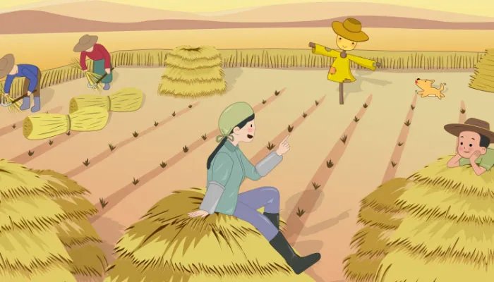 五一高速收费吗 五一高速免费吗