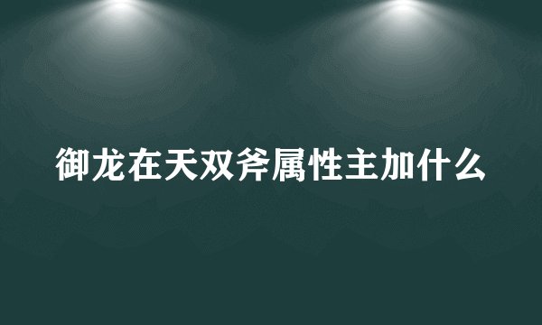 御龙在天双斧属性主加什么
