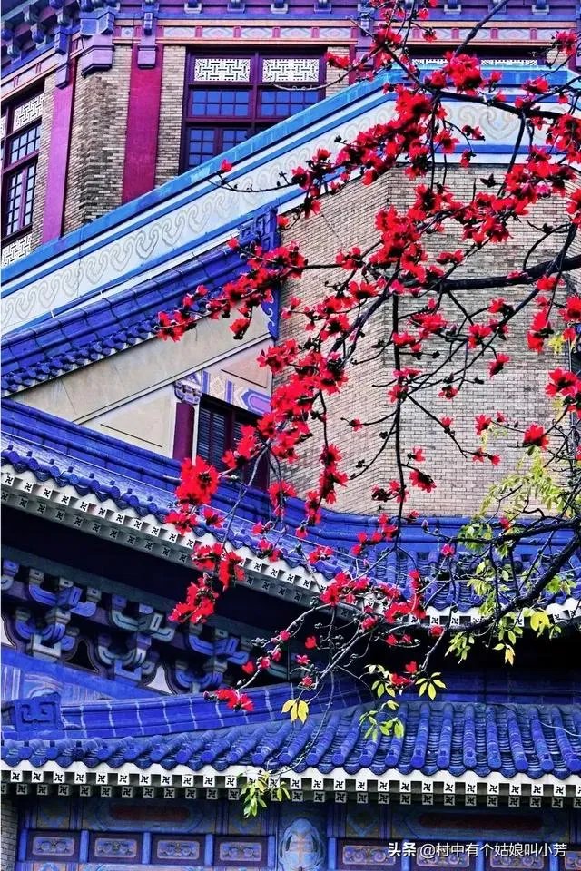 开车旅行是什么感觉呢？