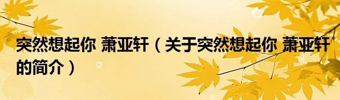 突然想起你 萧亚轩（关于突然想起你 萧亚轩的简介）