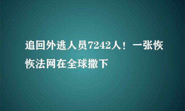 追回外逃人员7242人！一张恢恢法网在全球撒下