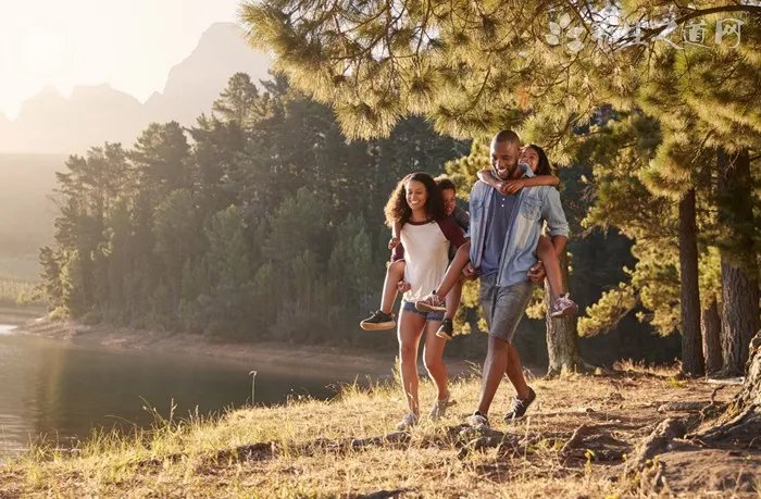 11年小牛夺冠阵容都有谁？回顾达拉斯小牛夺冠之路