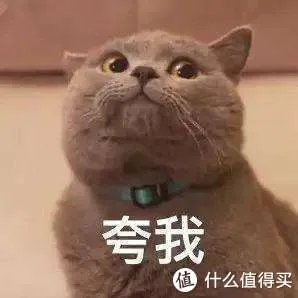 免费看电影的6个最佳网站，海外大片，最新电影在线免费观看!