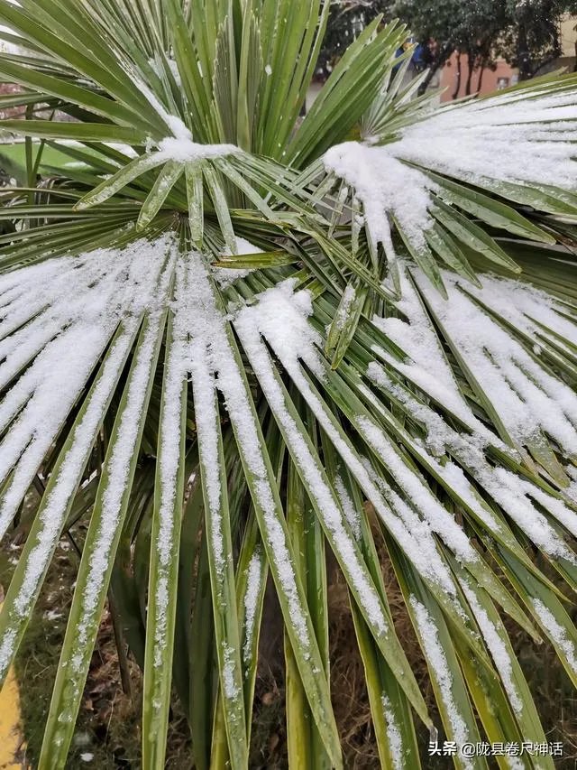 你见过身边有人姓仝（tong）吗？