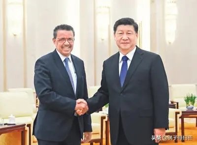 美国退出世卫组织有何后果？