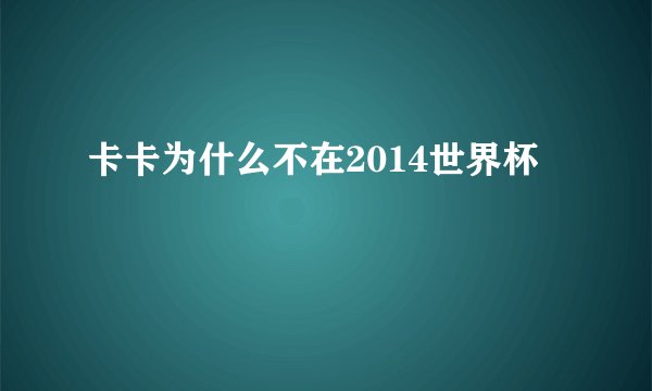 卡卡为什么不在2014世界杯