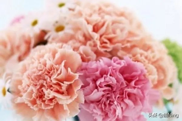 母亲节送什么礼物,最实用的母亲节礼物排行榜？