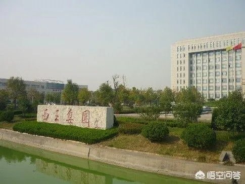 山东的西王村，到底有多富？