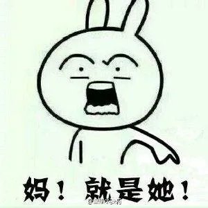 乐乐媃媃的如何区别