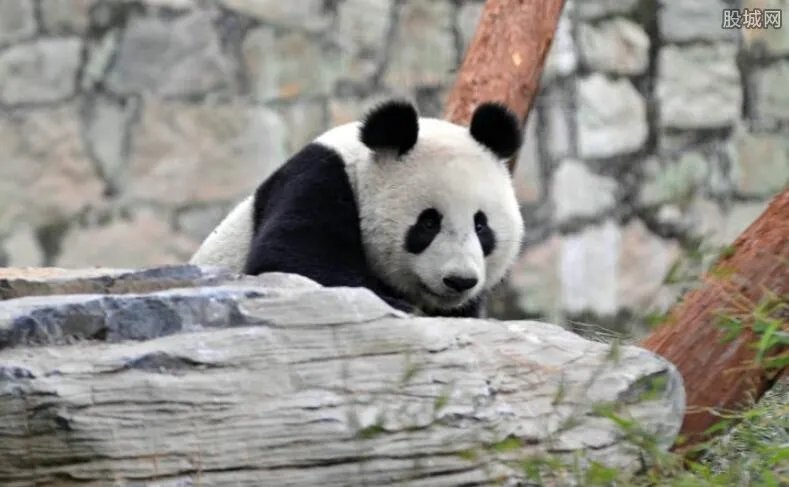 广州动物园好玩吗 广州动物园门票价格