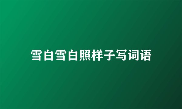 雪白雪白照样子写词语