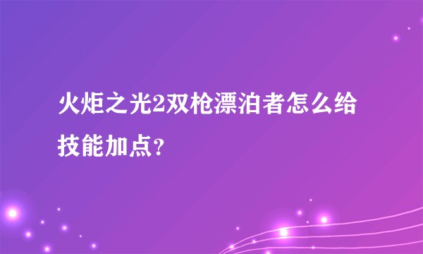 火炬之光2双枪漂泊者怎么给技能加点？