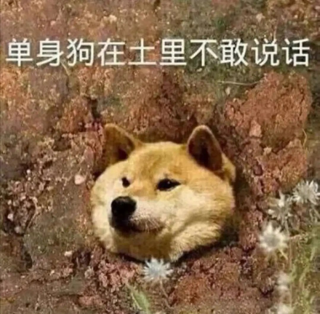 520单身狗图片大全2022 单身狗搞笑图片分享