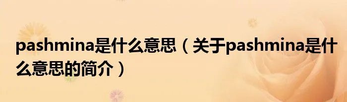 pashmina是什么意思（关于pashmina是什么意思的简介）