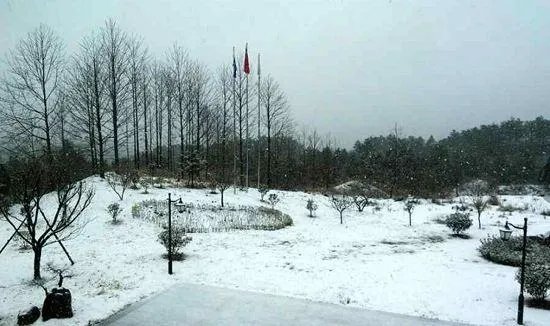 宁波的冬天会下雪吗?