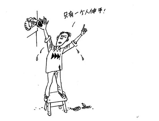 2013十大假新闻的详细