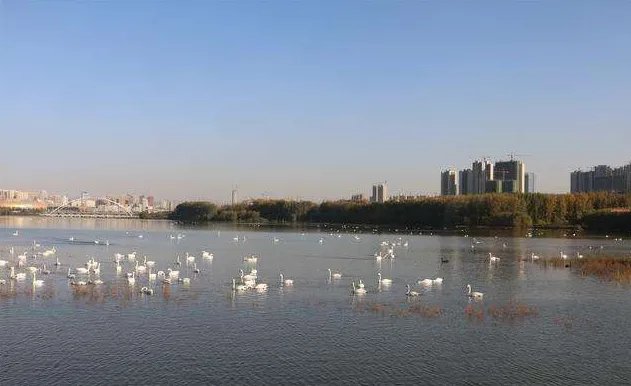 三门峡地震最新消息2019 三门峡为什么会地震原因揭秘