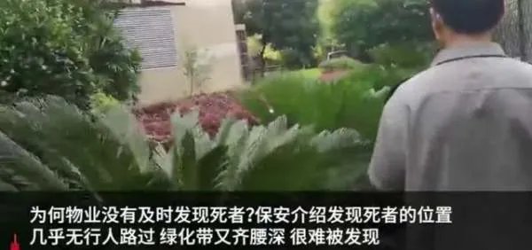 四川一小区绿化带发现男尸，物业为何没有及时发现死者？