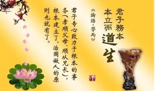 怎么理解“君子务本，本立而道生”