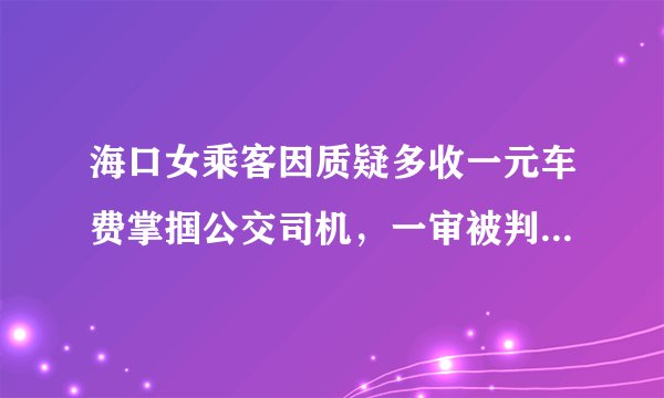 海口女乘客因质疑多收一元车费掌掴公交司机，一审被判4年, 你怎么看？