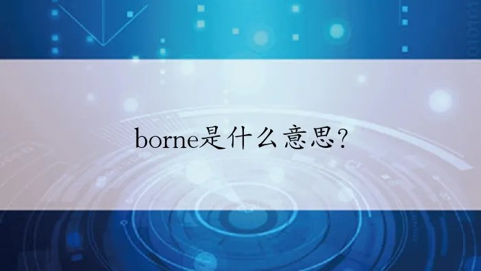 borne是什么意思？