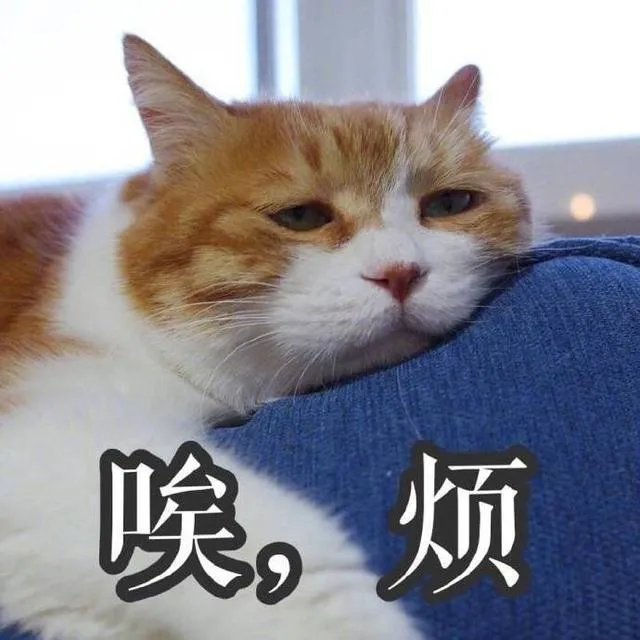 大家有没有特别搞笑的猫咪图片？