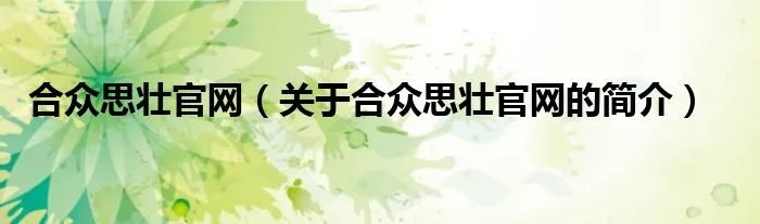 合众思壮官网（关于合众思壮官网的简介）