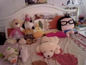 叶县吧的贴吧简介