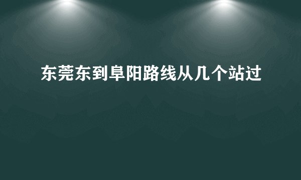 东莞东到阜阳路线从几个站过